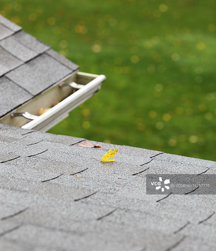 湿屋顶上的秋叶图片素材