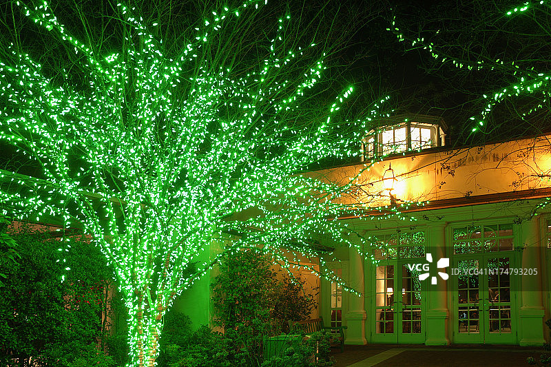 圣诞灯图片素材