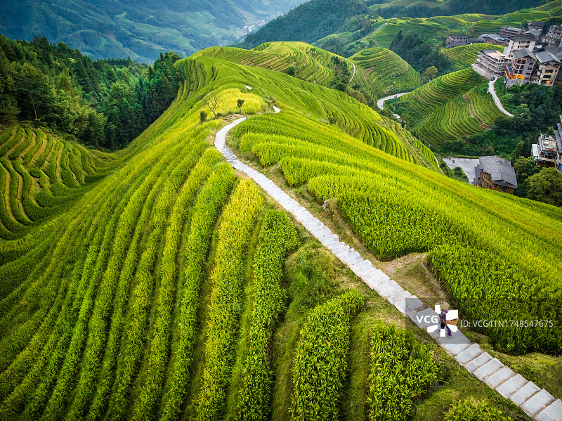 中国广西龙胜梯田与村庄图片素材