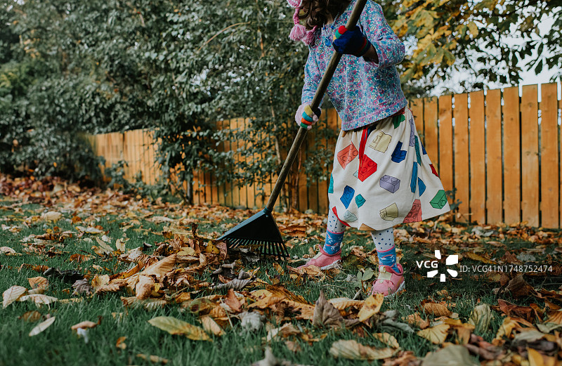 儿童在耙落叶图片素材
