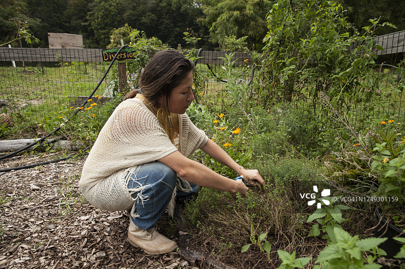 单亲妈妈和两个孩子在社区花园里共度时光图片素材