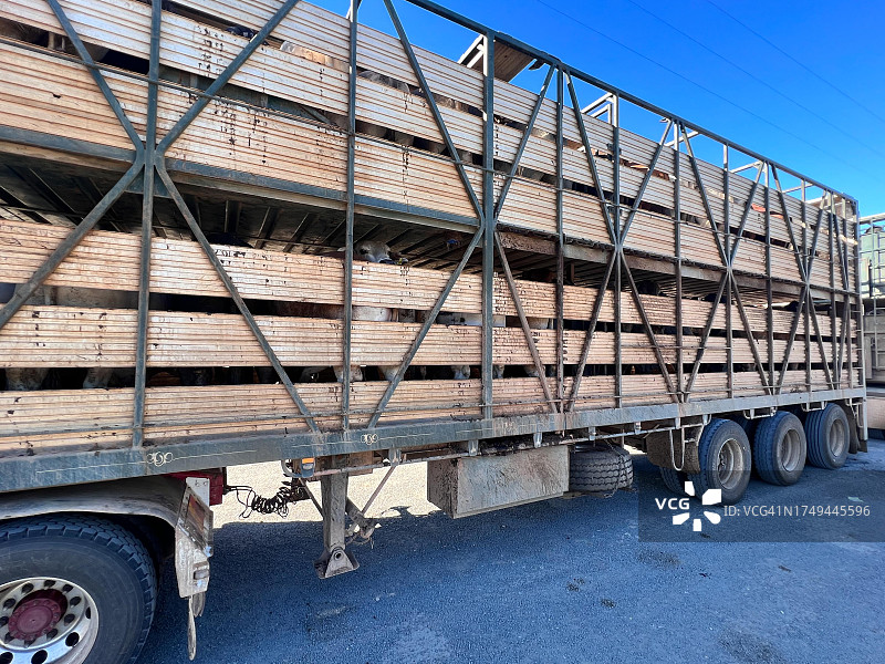 牲畜运输卡车图片素材