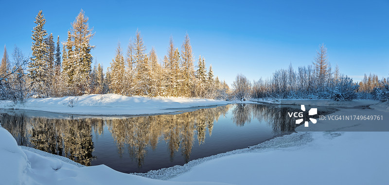 冬季景观：小溪映照森林图片素材