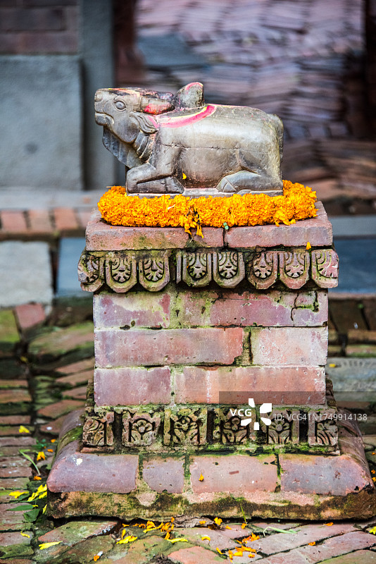 南迪公牛雕像图片素材