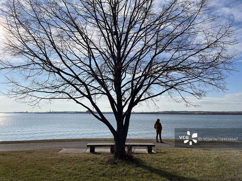 巴尔的摩港口冬季大树下的男人，麦克亨利堡图片素材