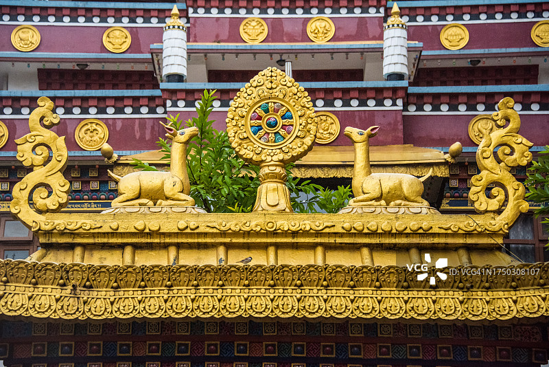 竹奔强曲林寺的法轮和一对鹿图片素材