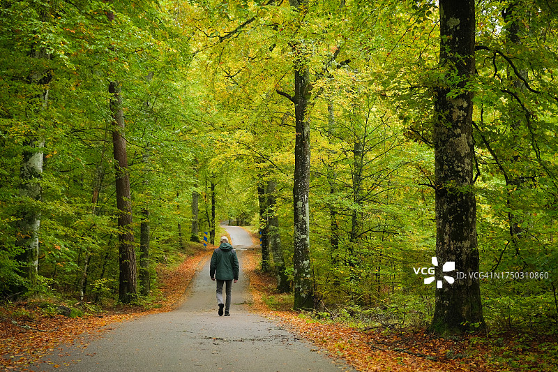 一个男人秋季在落叶林小路上行走。图片素材
