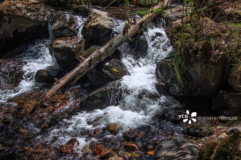 马格达莱纳河，迪纳莫斯国家公园，墨西哥城，墨西哥图片素材