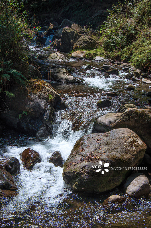 马格达莱纳河，迪纳莫斯国家公园，墨西哥城，墨西哥图片素材