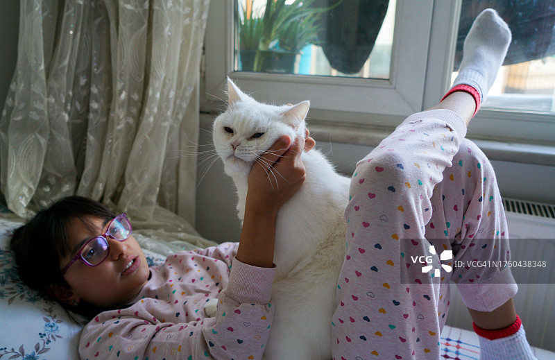 小女孩拥抱白色小猫图片素材