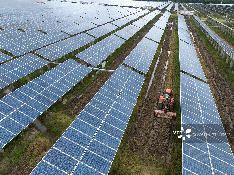 在光伏板下稻田里犁地的拖拉机图片素材