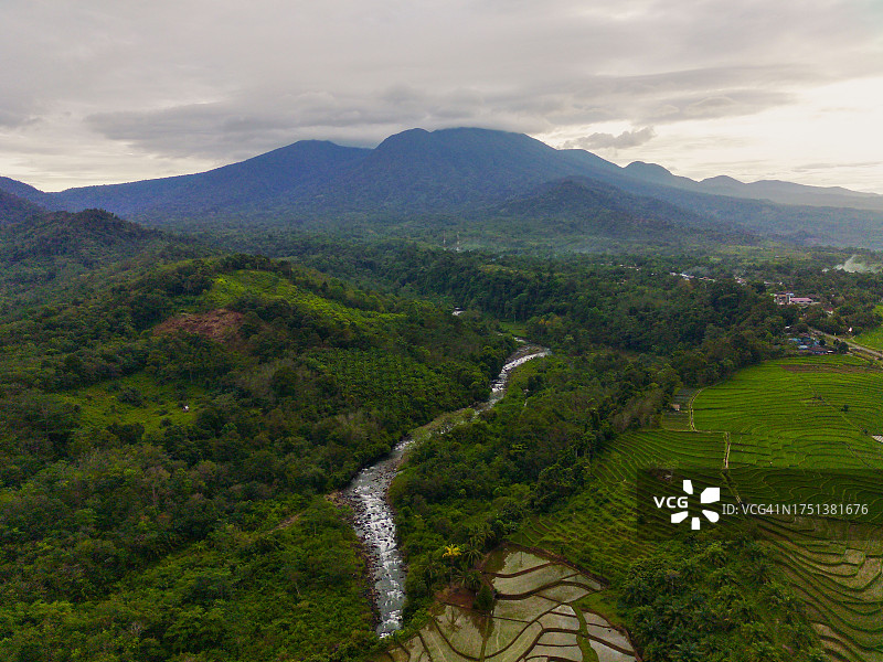 美丽的晨景印度尼西亚全景景观稻田与美丽的色彩和天空自然光图片素材