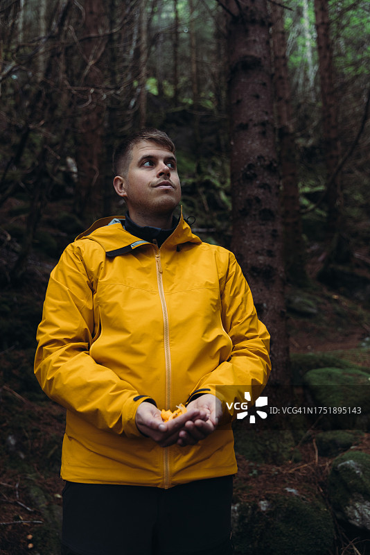 男人在挪威森林里拿着鸡油菌图片素材