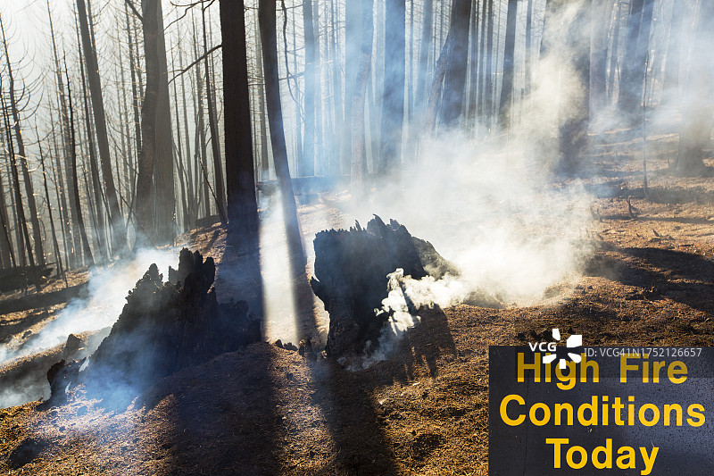 美国加利福尼亚州埃尔多拉多国家森林公园燃起97717英亩的国王大火图片素材