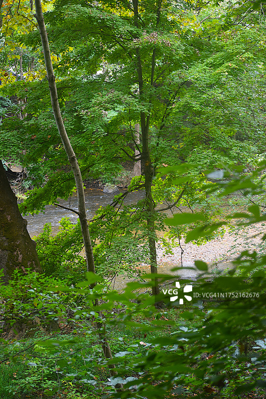 福吉谷国家历史公园图片素材