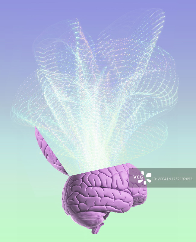 学习概念：人类大脑图片素材