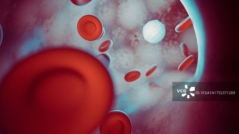 血管或动脉内的红白血细胞图片素材