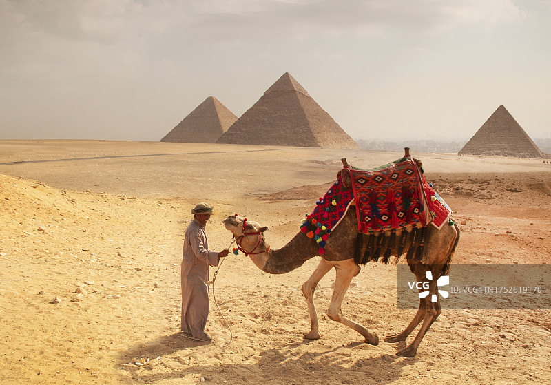 骆驼和它的主人图片素材