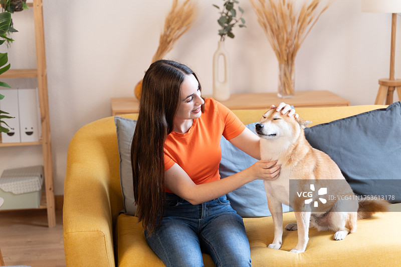 年轻女子在家中沙发上抚摸着柴犬图片素材