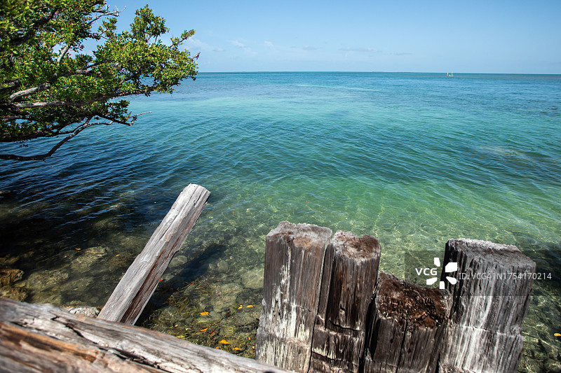 佛罗里达群岛的清澈海水图片素材