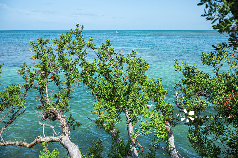 佛罗里达群岛的清澈海水图片素材