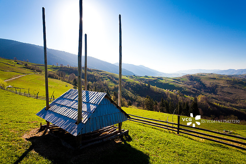 长筒袜干草图片素材