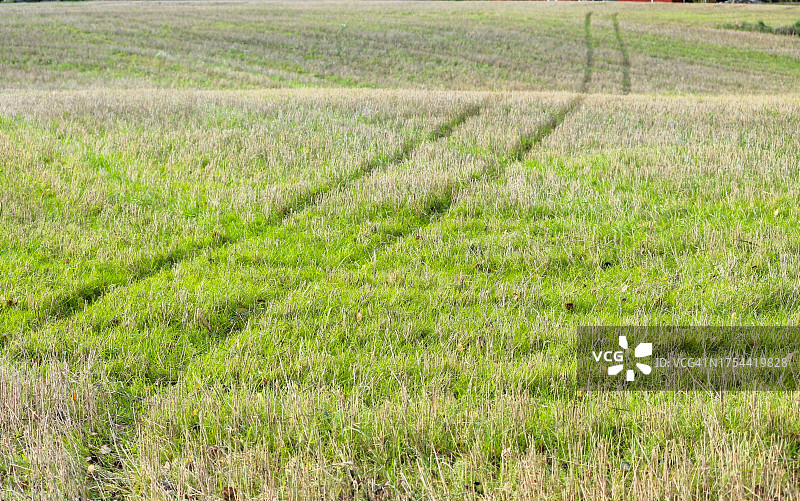 芬兰维尔拉特农业田园风光图片素材