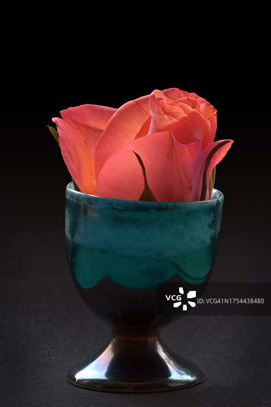 黑色背景下碗中玫瑰特写图片素材