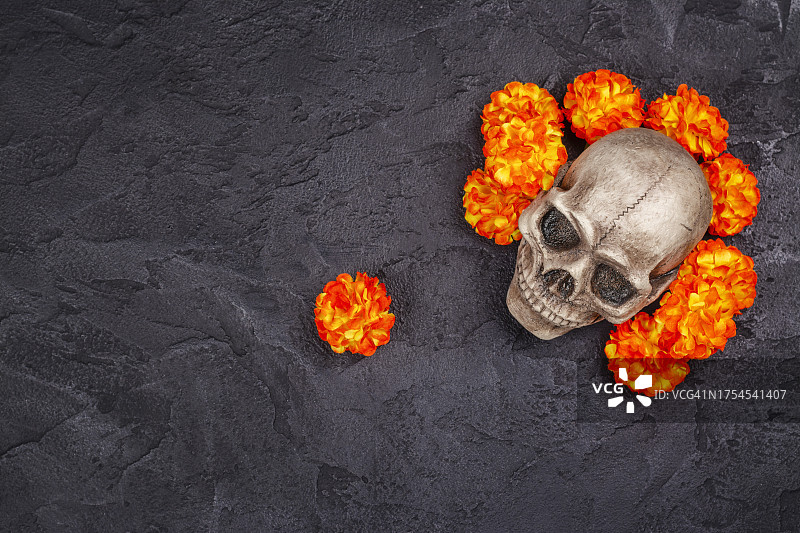桌上人类头骨和鲜花的特写图片素材