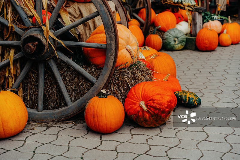 农贸市场上的各种南瓜图片素材