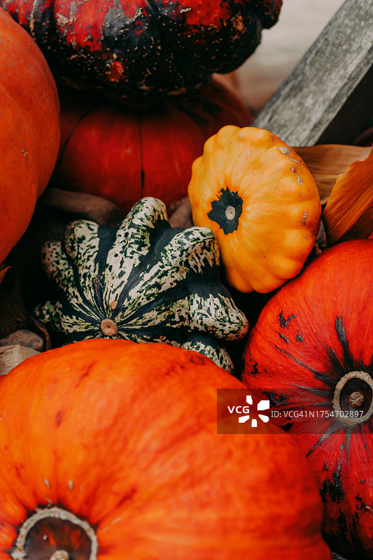 农贸市场上的各种南瓜图片素材