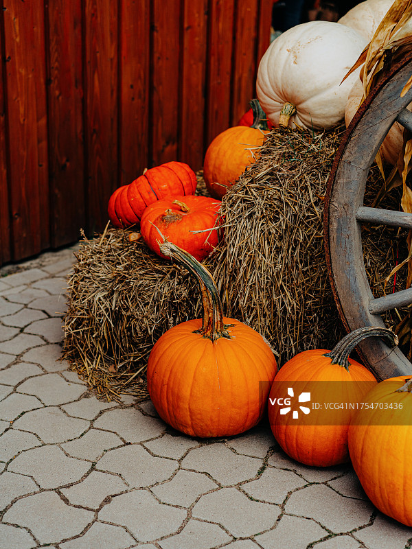 农贸市场上的各种南瓜图片素材