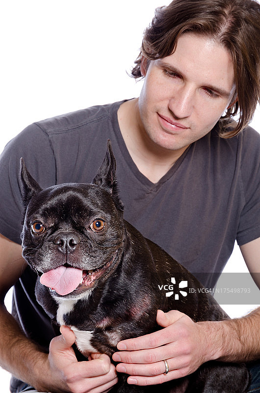 年轻男人在白色背景下拥抱法国斗牛犬图片素材