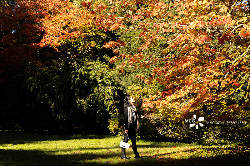 英国格洛斯特郡韦斯顿伯特植物园的秋叶变色景观图片素材