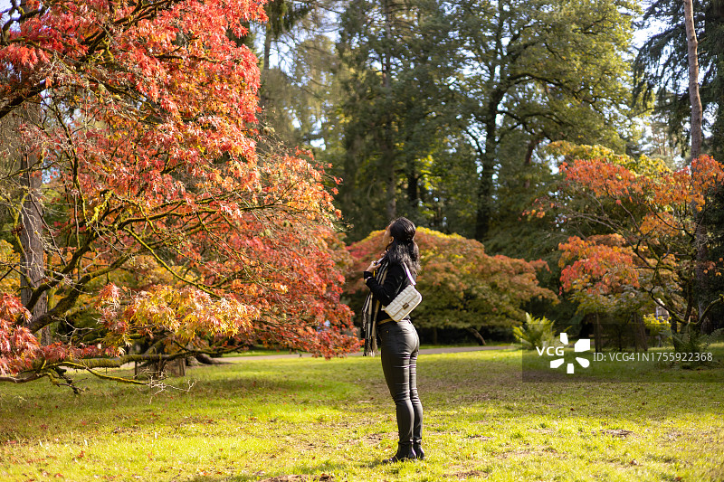 英国格洛斯特郡韦斯顿伯特植物园的秋叶变色景观图片素材