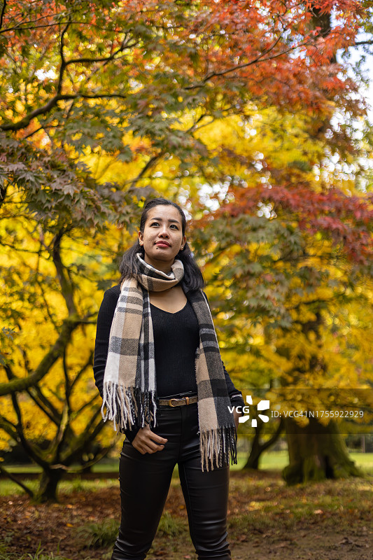 英国格洛斯特郡韦斯顿伯特植物园的秋叶变色景观图片素材