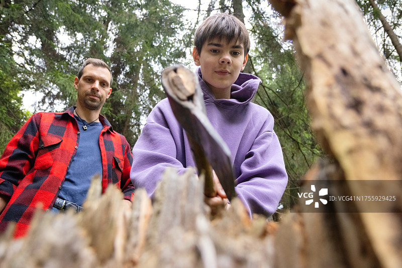 在伐木工父亲的指导下，男孩学习用斧头劈柴图片素材