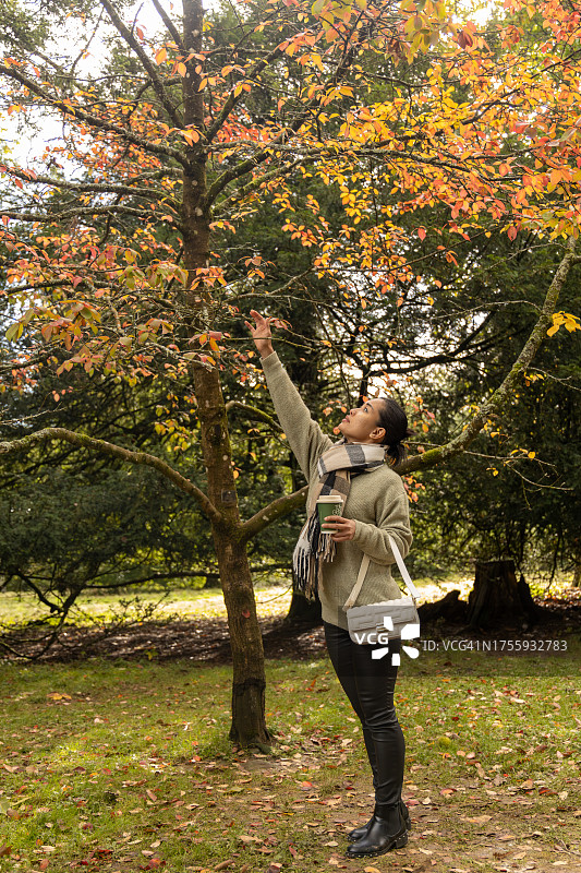 英国格洛斯特郡韦斯顿伯特植物园的秋叶变色景观图片素材