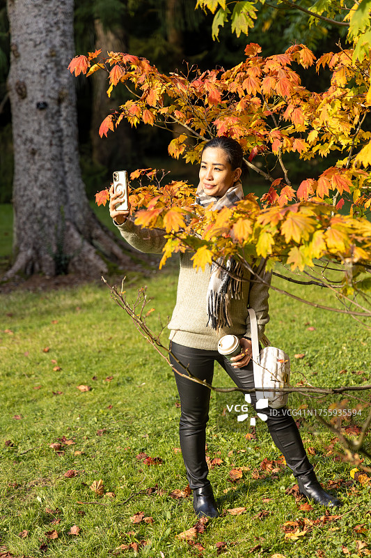 英国格洛斯特郡韦斯顿伯特植物园的秋叶变色景观图片素材