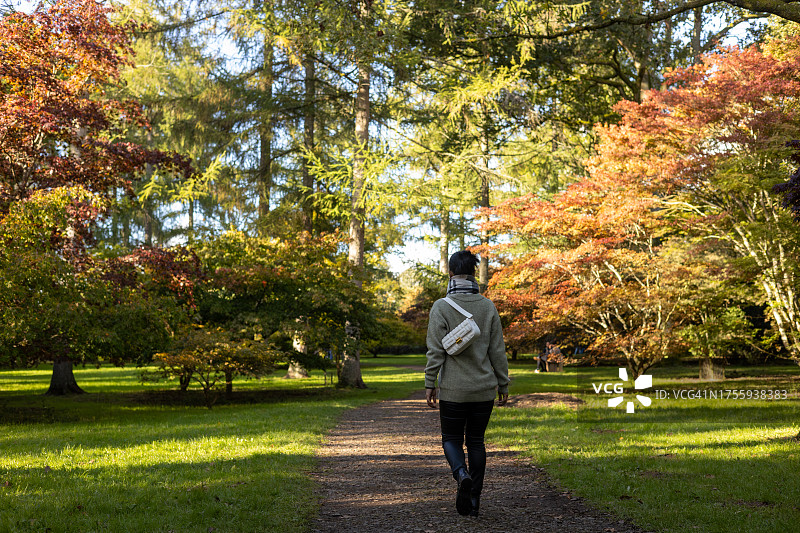 英国格洛斯特郡韦斯顿伯特植物园的秋叶变色景观图片素材