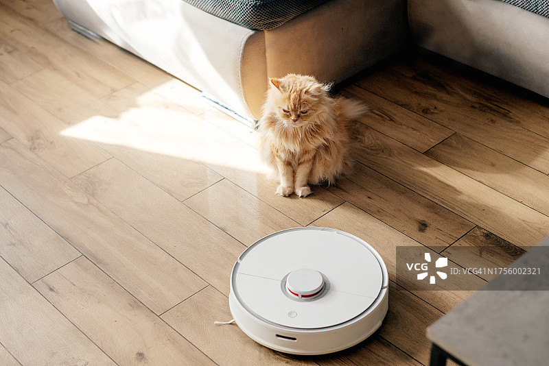 猫和扫地机器人图片素材