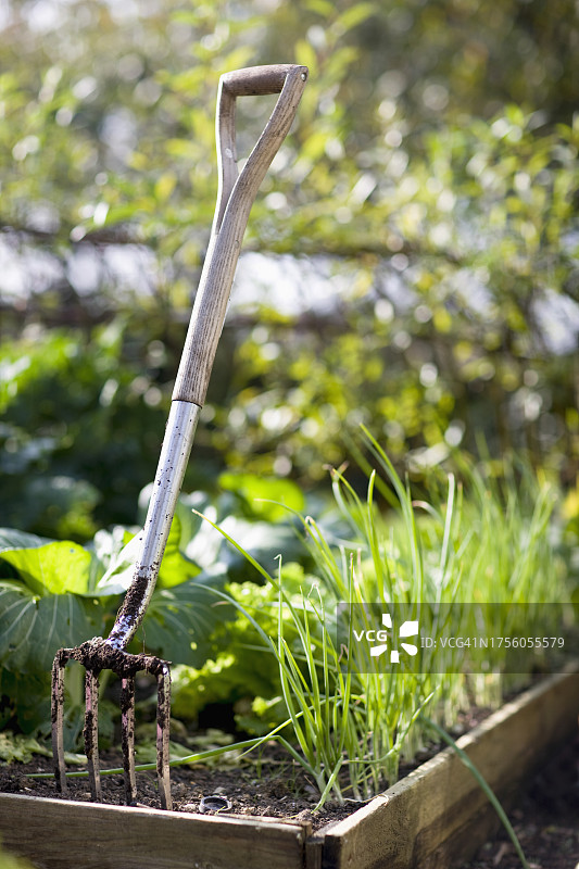 花园中的干草叉特写图片素材