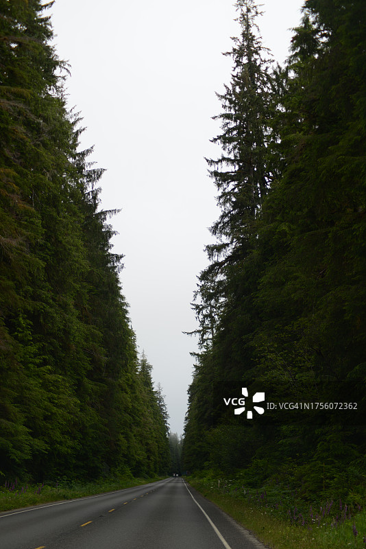 华盛顿州奥林匹克国家公园图片素材