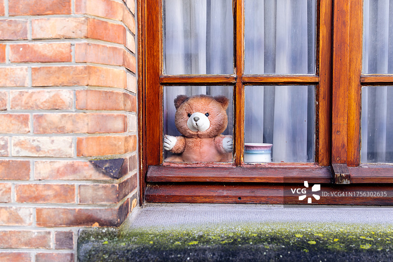 坐在窗户边的泰迪熊，比利时布鲁日图片素材