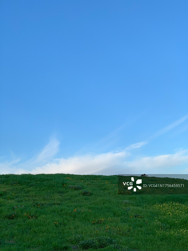 美国加利福尼亚州旧金山的田野风光图片素材