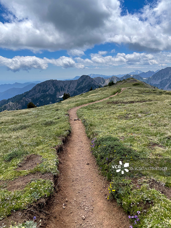 美国华盛顿州布林农景观图片素材