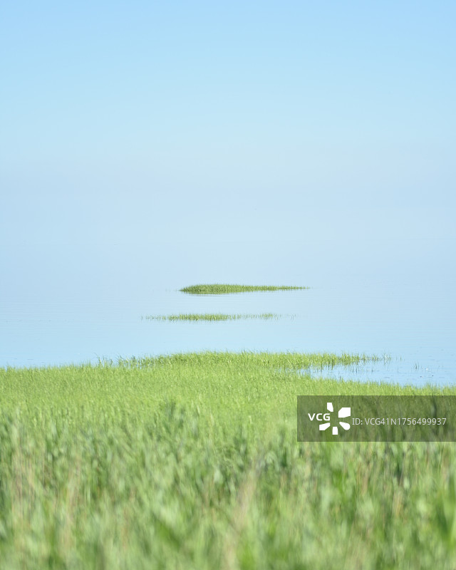 晴空映衬下的田野美景图片素材