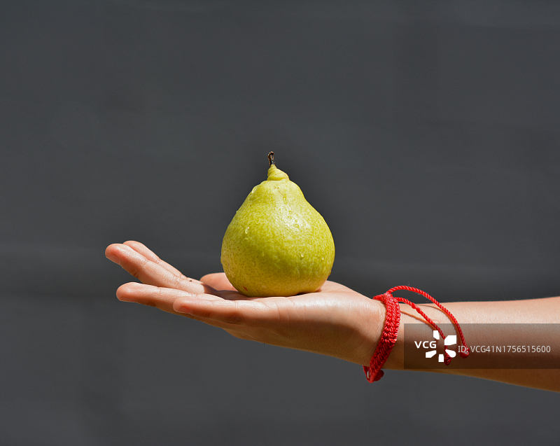 手持柠檬，灰色背景图片素材