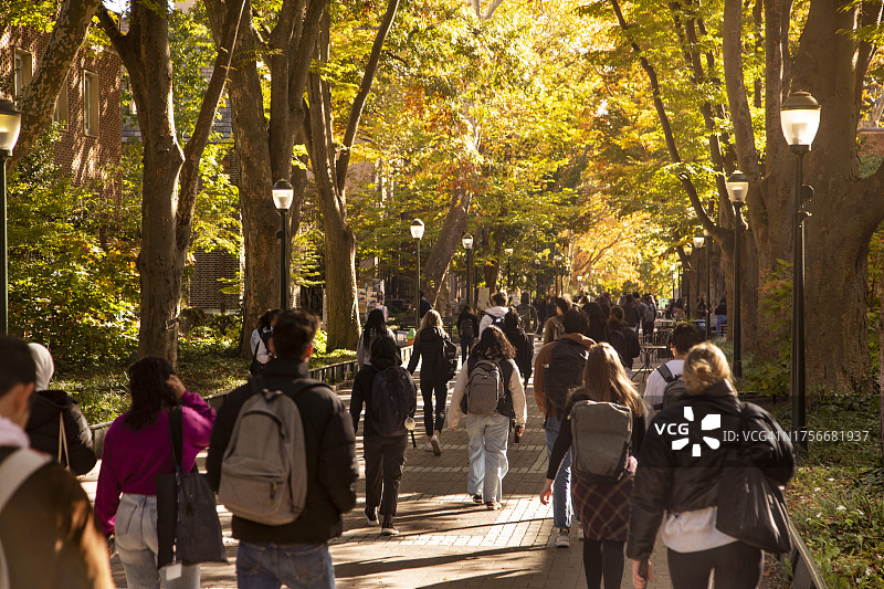 大学校园和学生人群图片素材