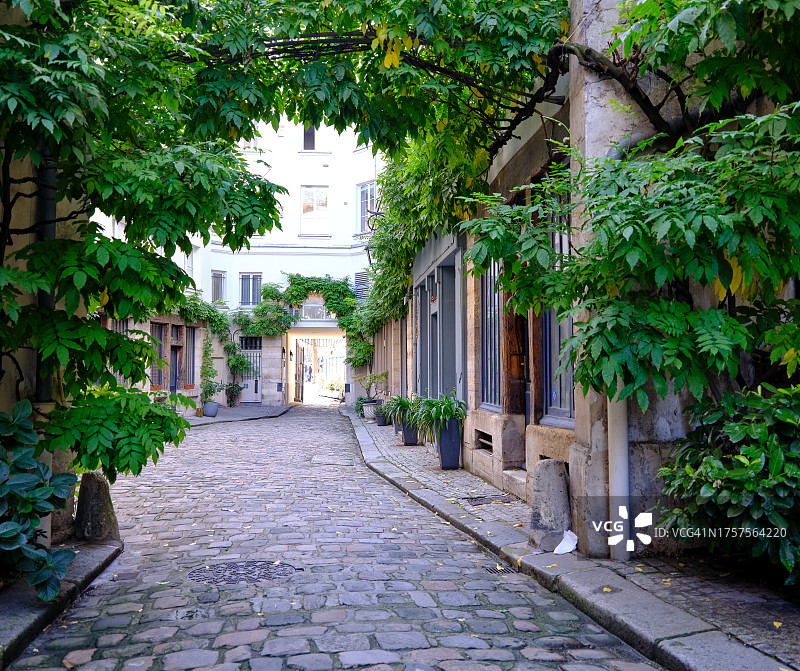 城市铺砌小巷中的绿植图片素材